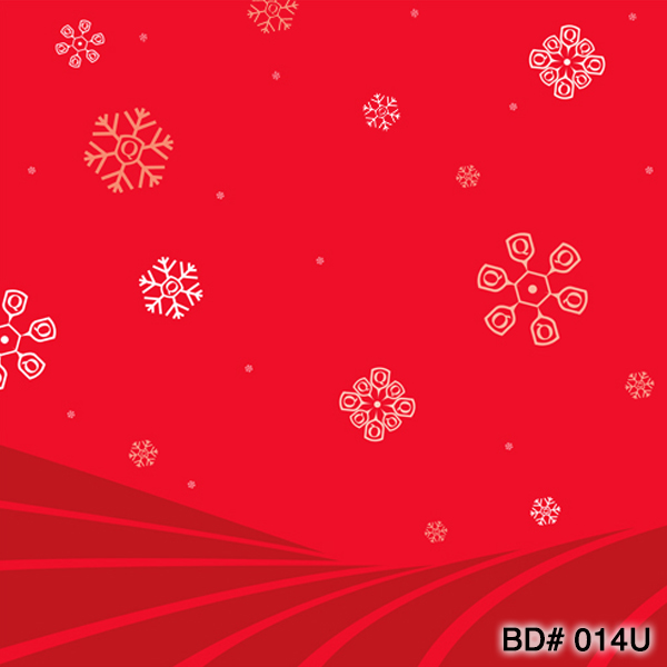 red snowflake photo background nyc