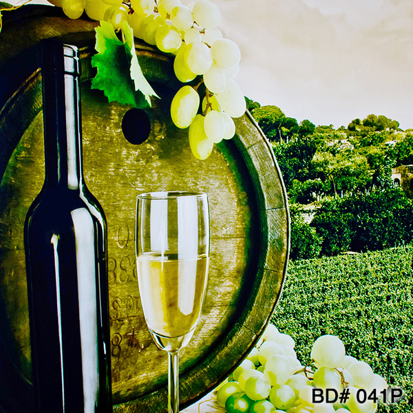 wine vineyard photo backdrop rental