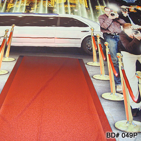 paparazzi red carpet photo backdrop rental