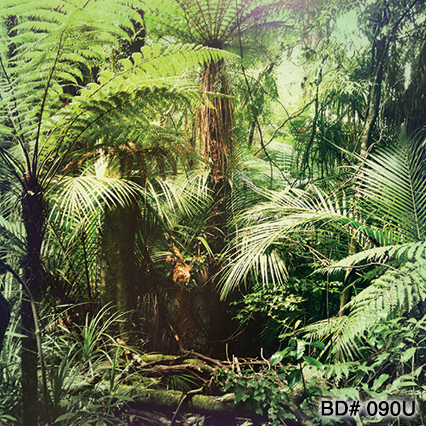 jungle themed party photo backdrop rental nyc new jersey kids party rentals
