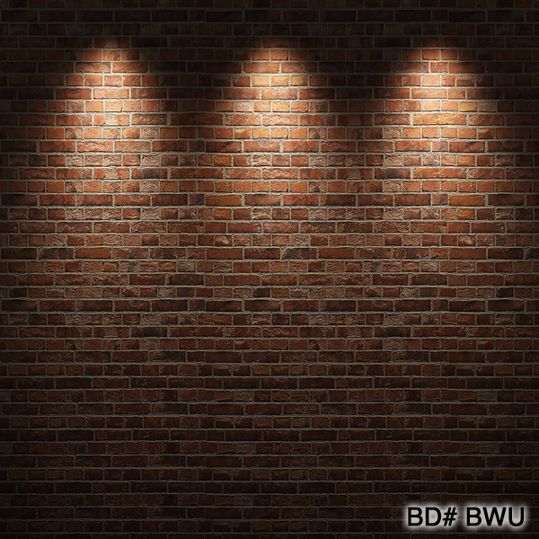 brick wall photo backdrop rental nyc